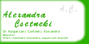 alexandra csetneki business card